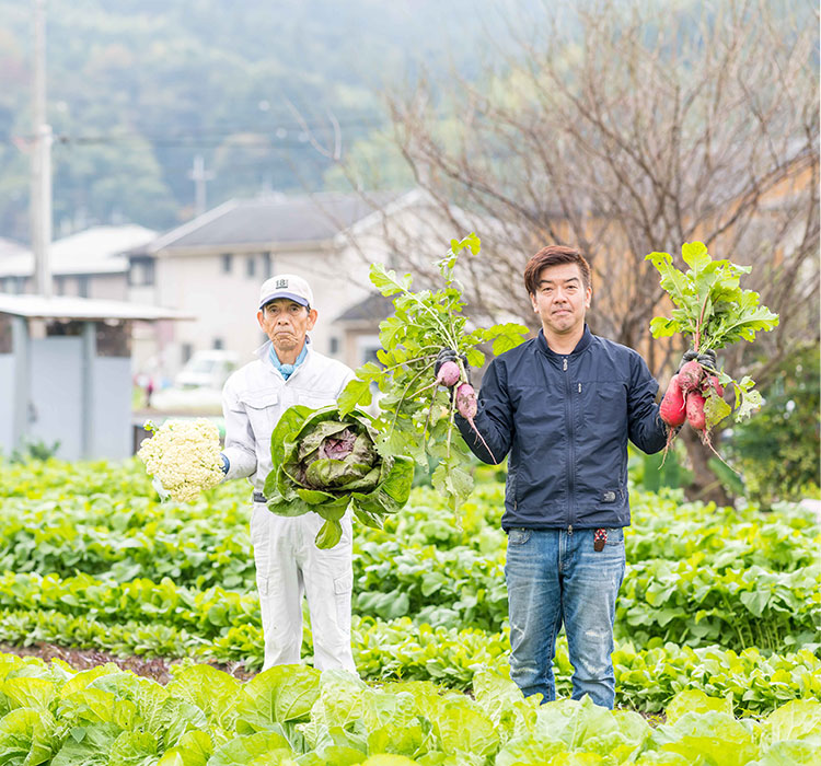 野菜のはなし